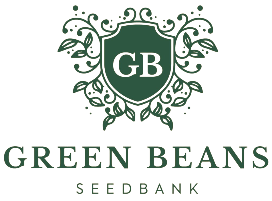 Green Beans